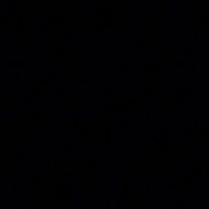 Meet your Posher, Lily